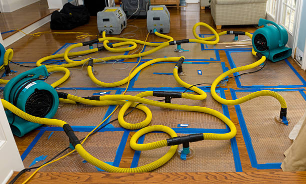 Professional Water Damage Repair technician working in Burton, WV