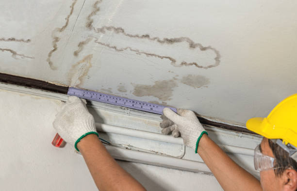 Affordable Water Damage Repair solutions in Burton, WV